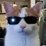 SacredFire89's Avatar